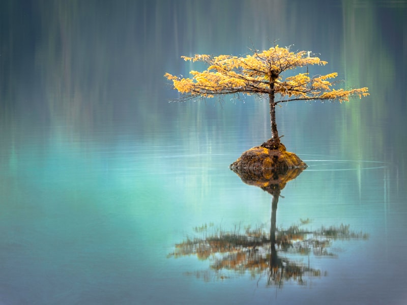 Attention Restoration Theory: The Science of Mental Recovery for Deep Work