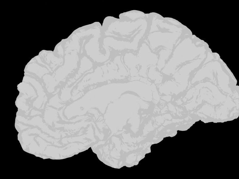 The Science Behind Deep Work: How it Transforms Cognitive Performance